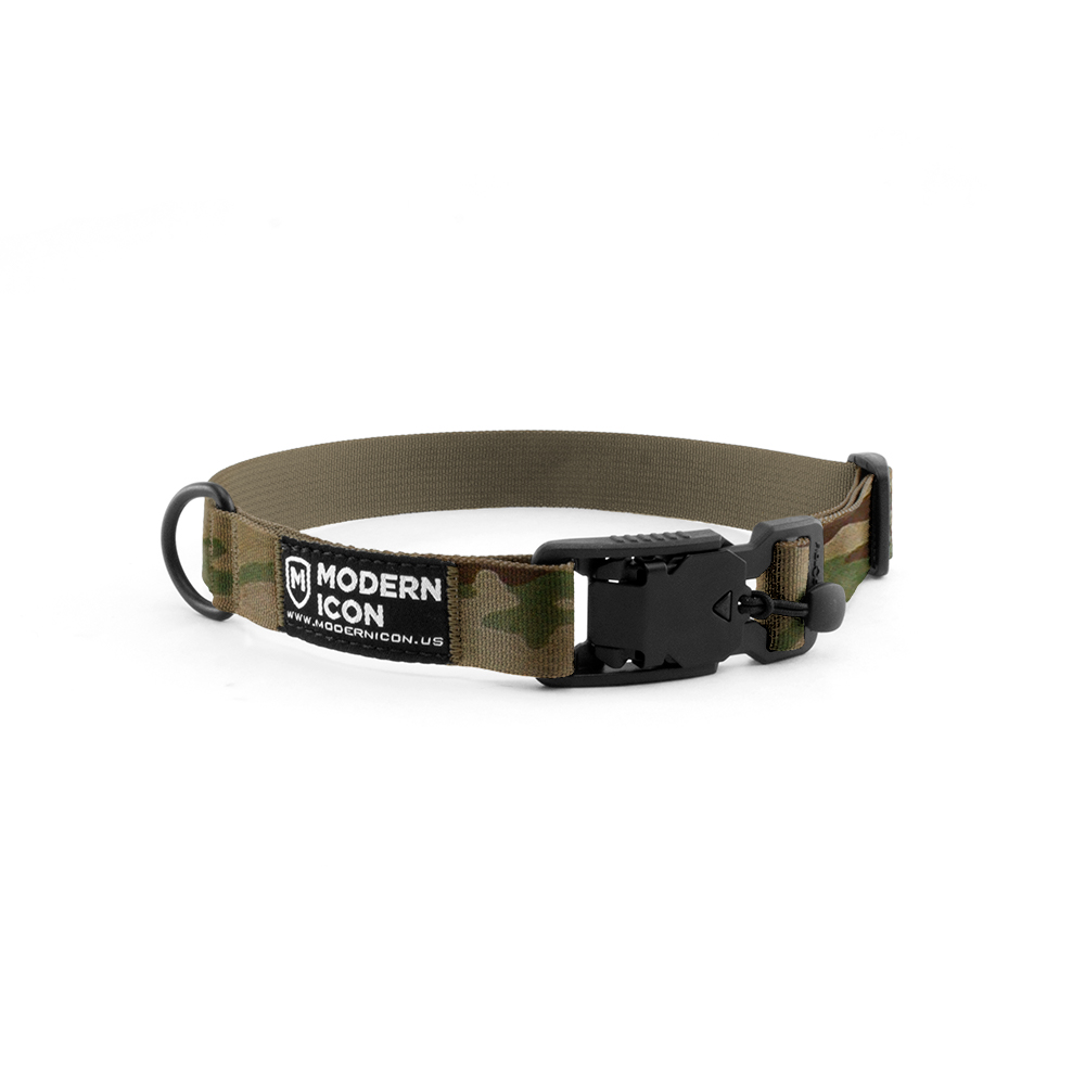 modern icon dog collar