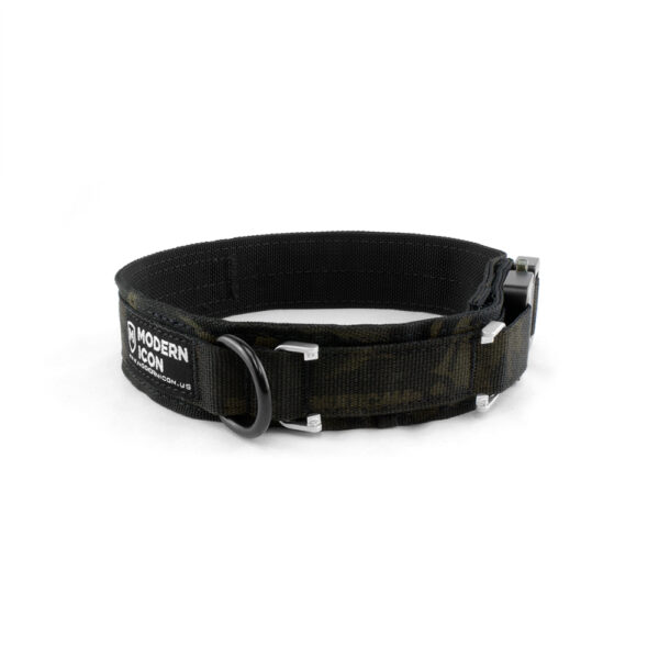 Fi Collar Add-On - Image 2
