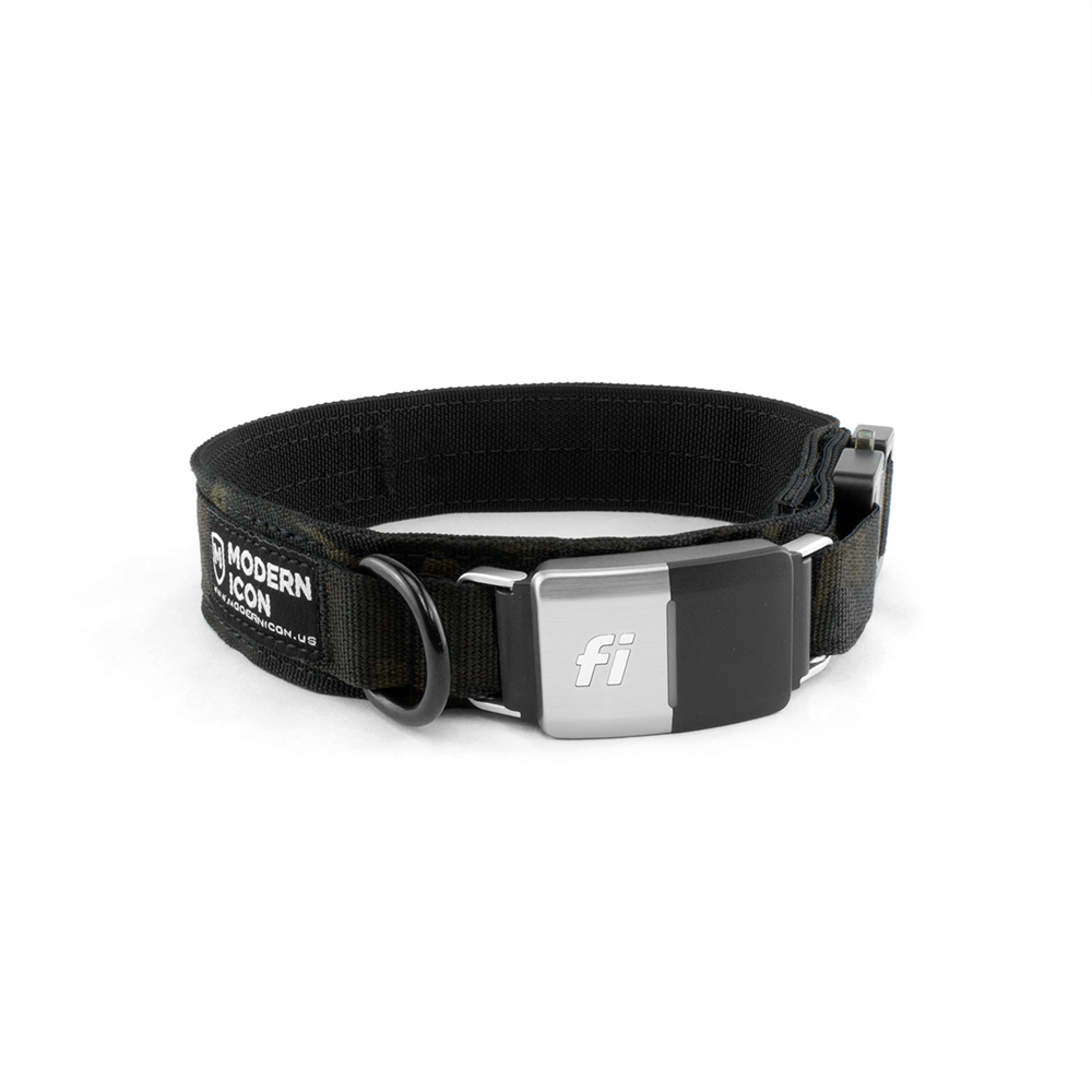 Louie  Fi Smart Dog Collar