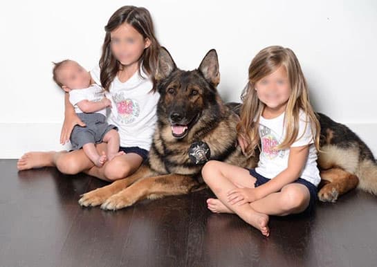 Hyco, a German Shepherd, with three small children