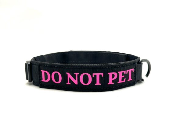 1.5" Summit Collar - Image 2