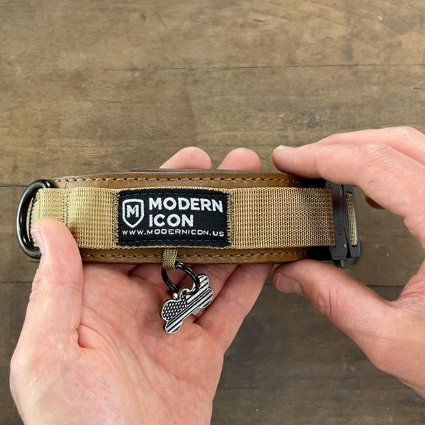 Heavy Duty Leather Dog Collar for Active Dogs
